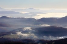 IMG_2351