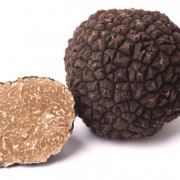 truffleimagecloseup_istock_000015145684medium-2