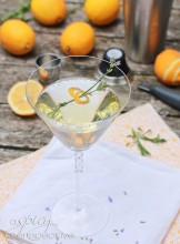 gin-rickey.jpg