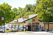 Drive-Thru Dairy ~ ASpicyPerspective.com
