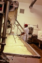 Making Fiscalini Cheese ~ ASpicyPerspective.com