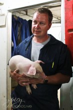 pig farming
