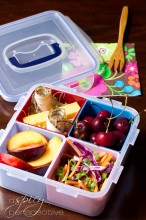 Bento Lunch Boxes | ASpicyPerspective.com