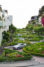 San Fransisco Street | ASpicyPerspective.com