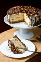 EasyTurtle Pumpkin Ice Cream Cake: An Impressive #Thanksgiving Dessert | ASpicyPerspective.com #holidays #icecream #pumpkin