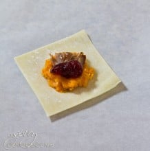 Thanksgiving Leftovers