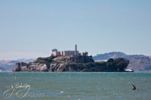 San Fransisco - Alcatraz | ASpicyPerspective.com