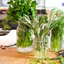 How to Keep Herbs Fresh #howto #herbs #cooking