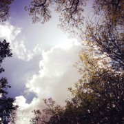 hopeful sky