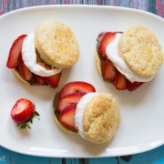 S'mores Strawberry Shortcake Recipe