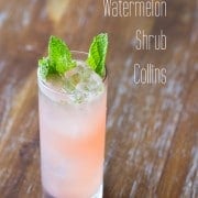 Watermelon Cocktail