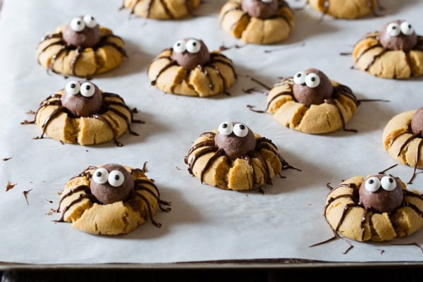 butter Chocolate Cookies to vegetarian  Peanut Butter Spider cookies make how