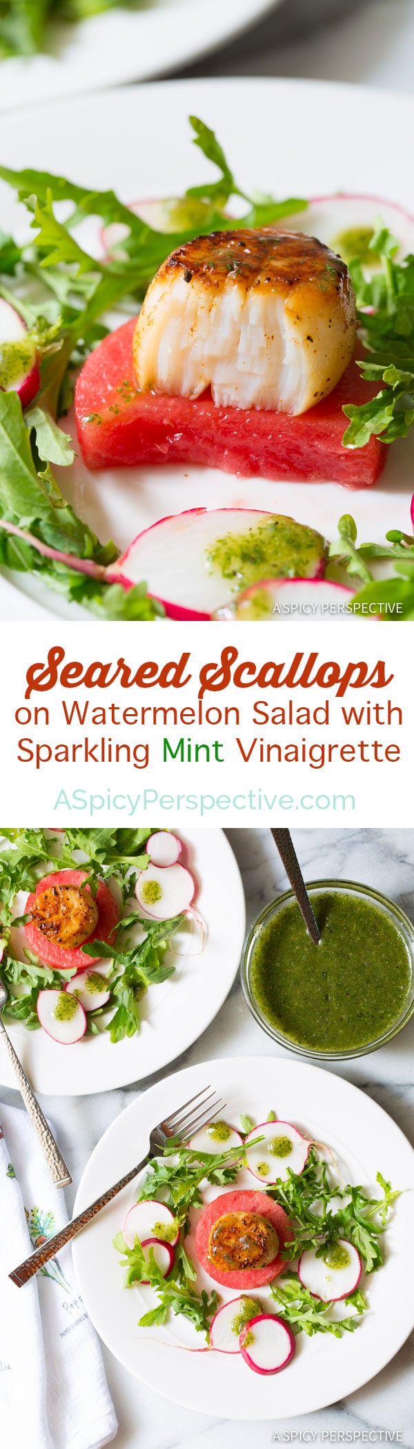 Lovely Seared Scallops on Watermelon Salad with Sparkling Mint Vinaigrette - ASpicyPerspective.com 