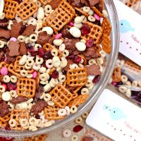Homemade Trail Mix - Valentine Snack + Printable Tags!