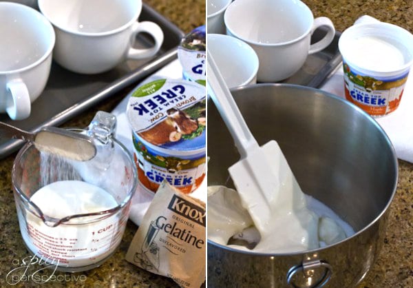 Making Yogurt Panna Cotta Recipe