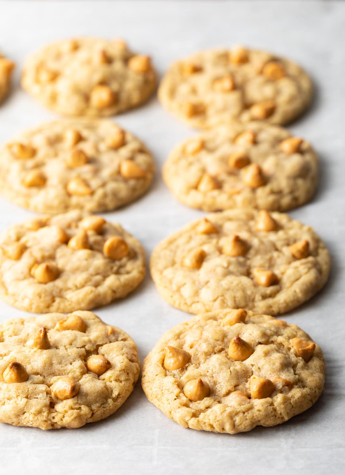 Butterscotch Cookies with Oatmeal A Spicy Perspective