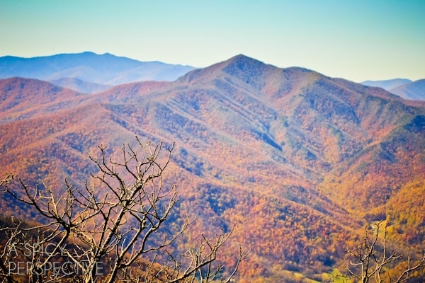 Things To Do In Asheville NC - 82