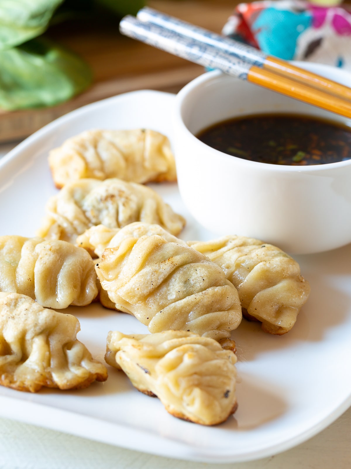 potstickers chinese dumplings recipe 19