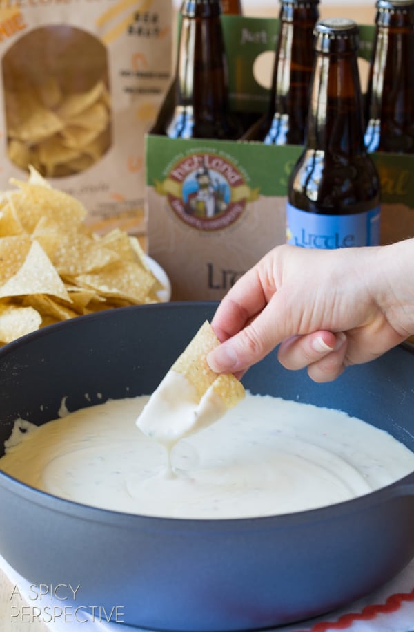 3 Ingredient Beer Cheese Dip Recipe A Spicy Perspective