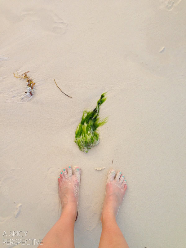 Things to Do in Cancun - 27