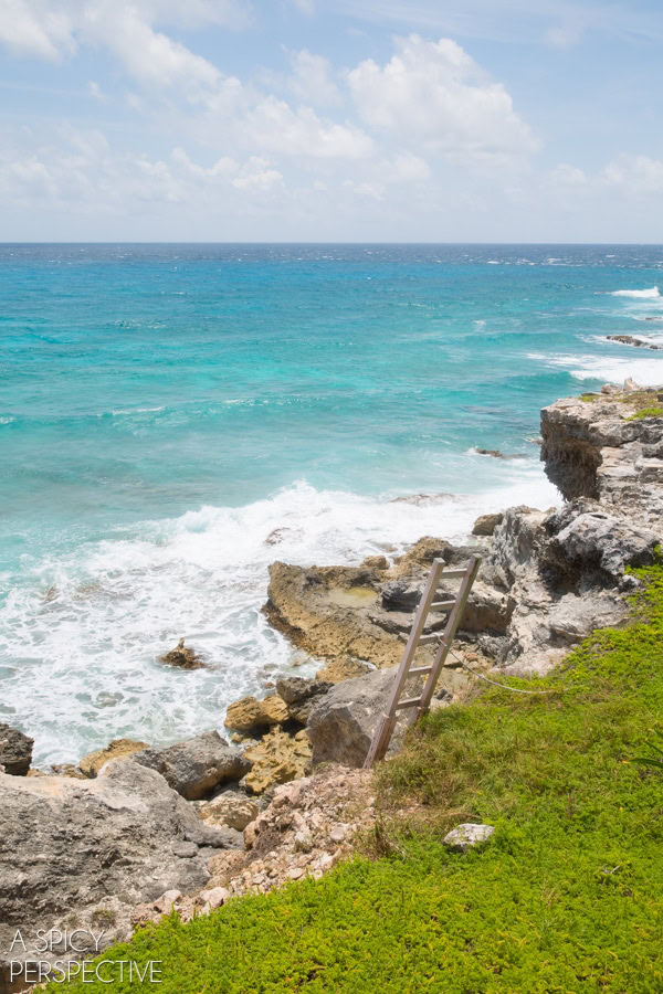 Things to Do in Cancun - 89
