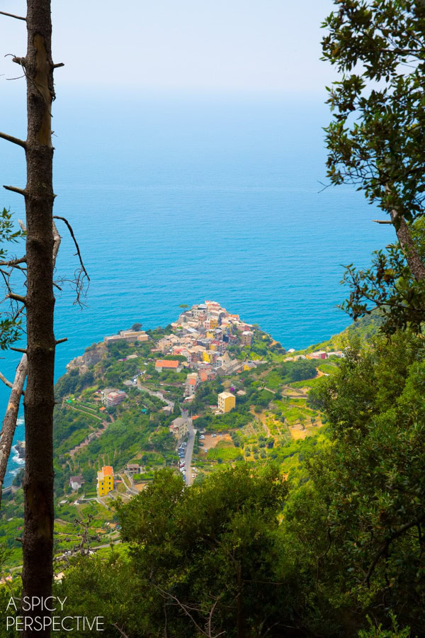 Cinque Terre  Italy - 73