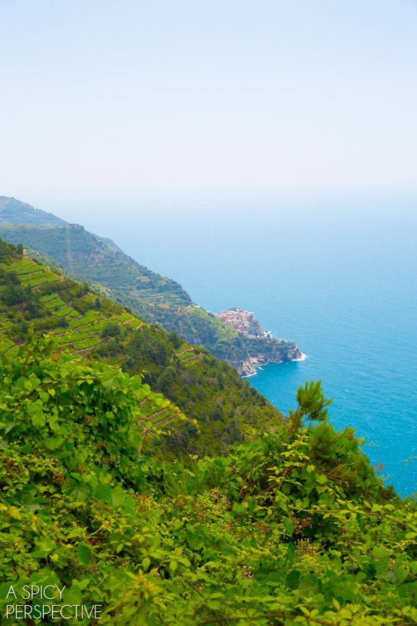Cinque Terre  Italy - 48
