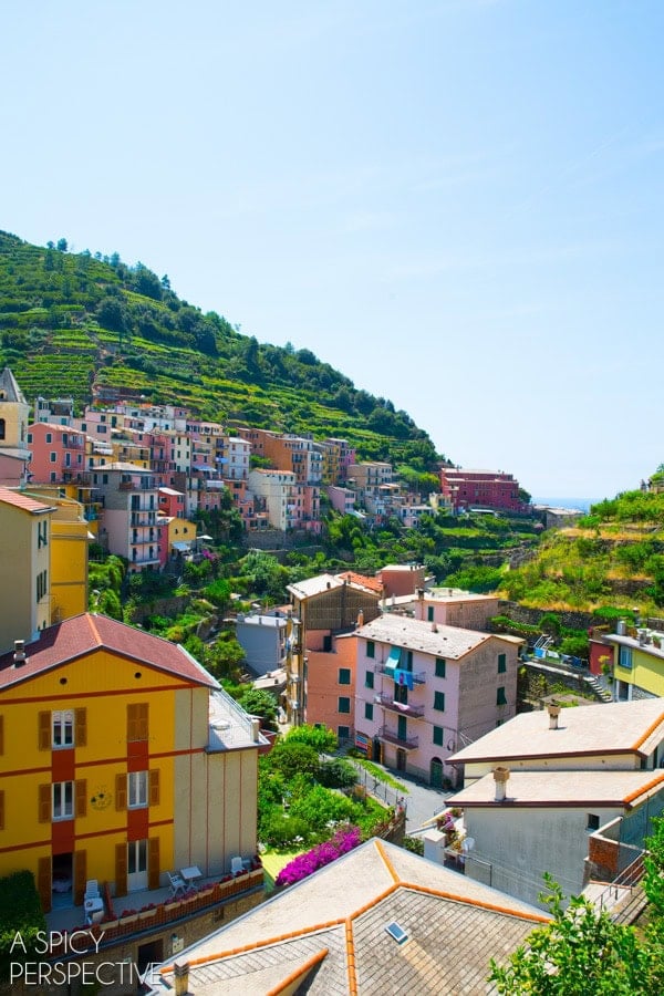 Cinque Terre  Italy - 86