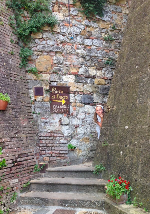Tuscany  Italy   The Hill Towns - 91