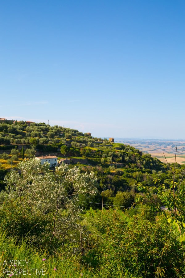 Tuscany  Italy   The Hill Towns - 19