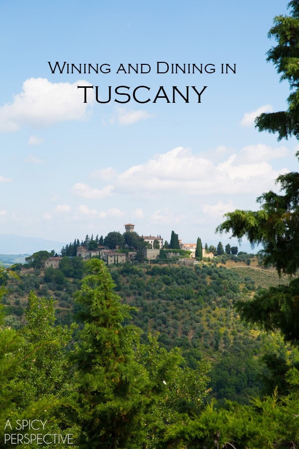 Tuscany  Italy  Siena  Chianti  and Pisa - 28