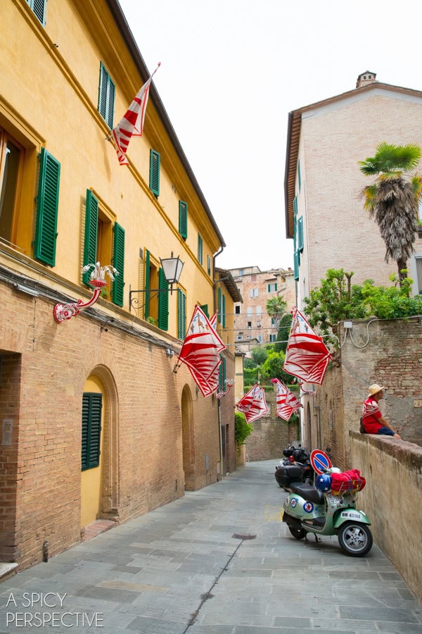 Tuscany  Italy  Siena  Chianti  and Pisa - 26