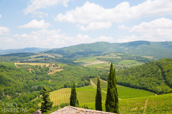 Tuscany  Italy  Siena  Chianti  and Pisa - 10