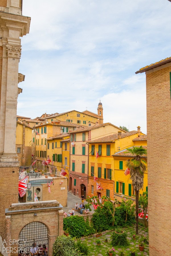 Tuscany  Italy  Siena  Chianti  and Pisa - 11