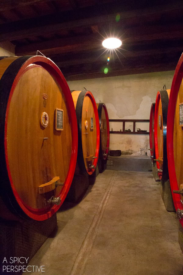 Tuscany  Italy  Siena  Chianti  and Pisa - 43