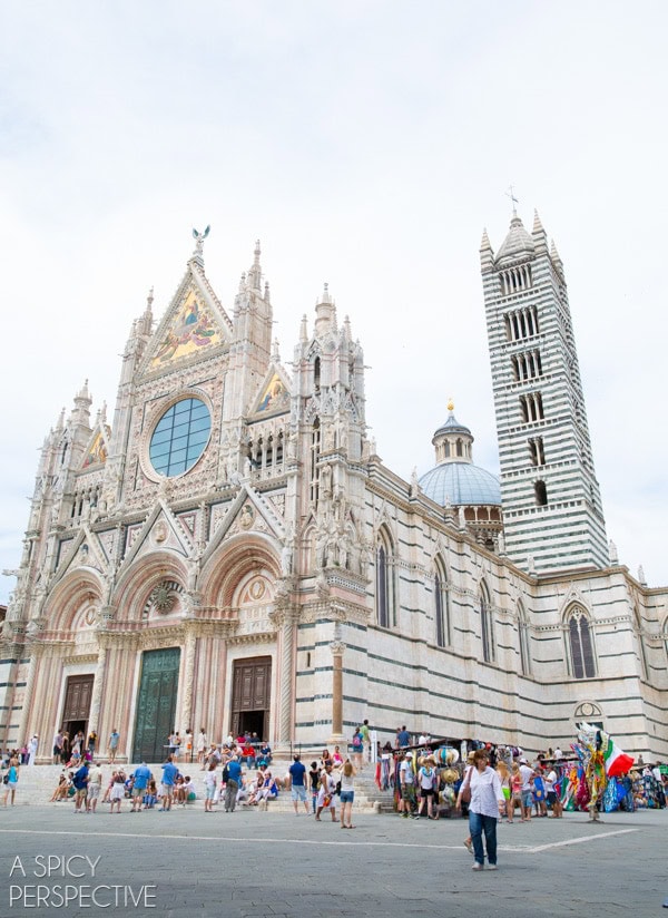 Tuscany  Italy  Siena  Chianti  and Pisa - 61