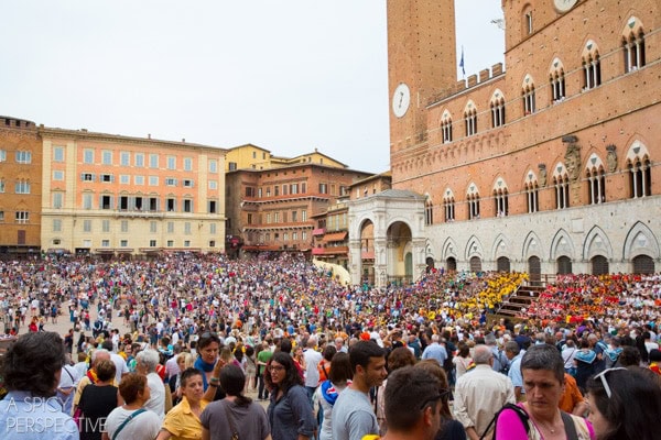 Tuscany  Italy  Siena  Chianti  and Pisa - 33