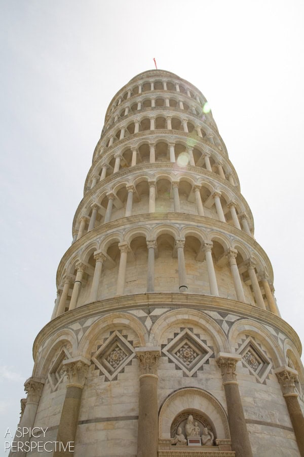 Tuscany  Italy  Siena  Chianti  and Pisa - 49