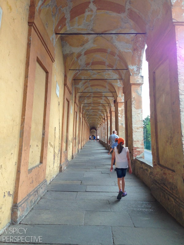 Bologna  Italy - 85
