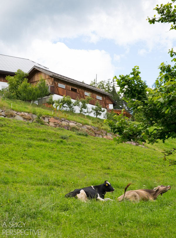 The Dolomites - 51