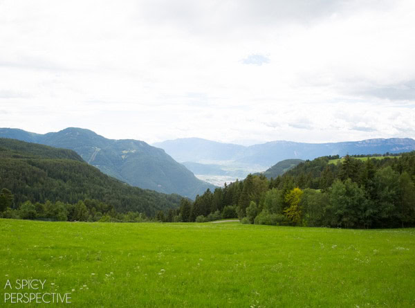 The Dolomites - 88