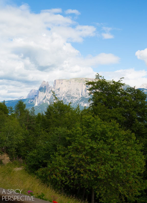 The Dolomites - 46