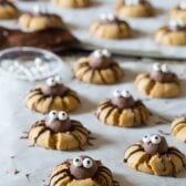 Creepy Chocolate Peanut Butter Cookies - SPIDERS! #halloween #spiders