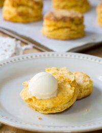 Fluffy Sweet Potato Biscuits! Light Flaky and Moist. #biscuits #sweetpotato #holiday #thanksgiving