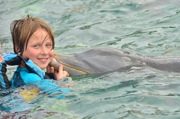 Things to do in Cozumel  Mexico - 52