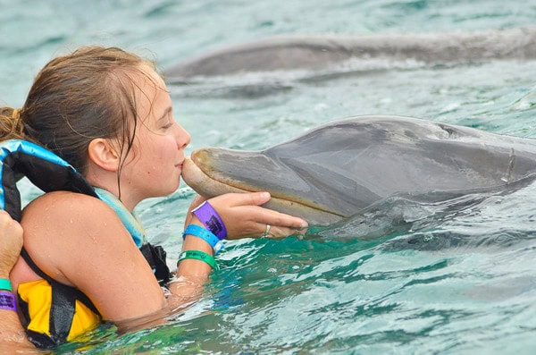 Things to do in Cozumel  Mexico - 16
