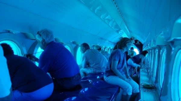 Things to do in Cozumel  Mexico - 95