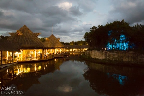 Things to Do in Playa Del Carmen  Mexico - 20