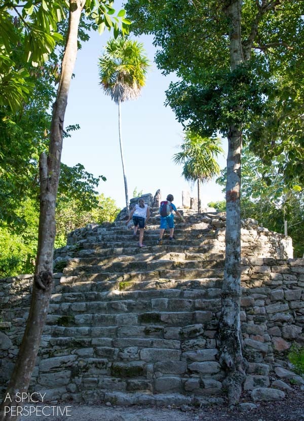 Things to Do in Playa Del Carmen  Mexico - 94
