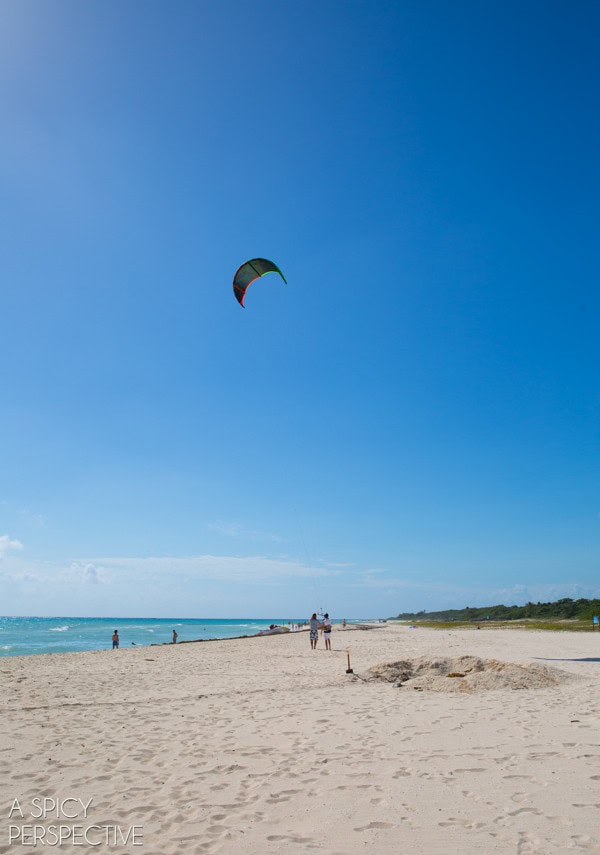 Things to Do in Playa Del Carmen  Mexico - 17